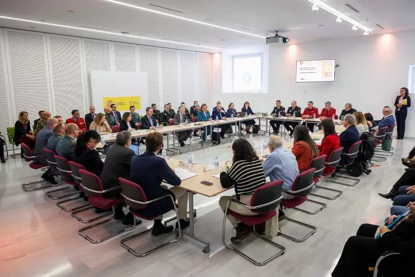 250317 mir_IV_Comisión_Seguimiento_Plan_Desaparecidos 04 950 